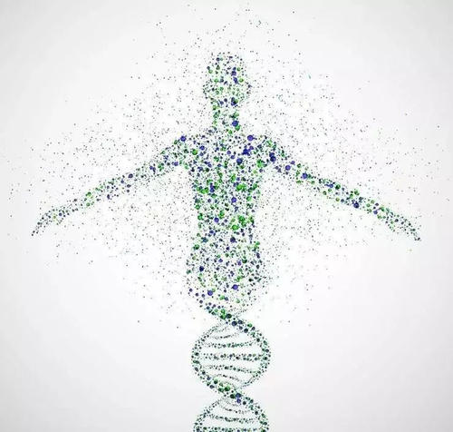 兒童檢查基因檢測的項目有哪些