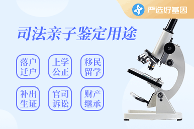 司法親子鑒定